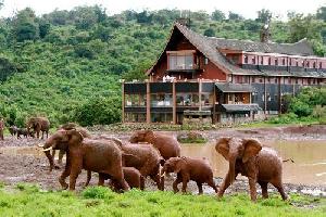 Las mejores ofertas de Fairmont the Ark Nairobi 